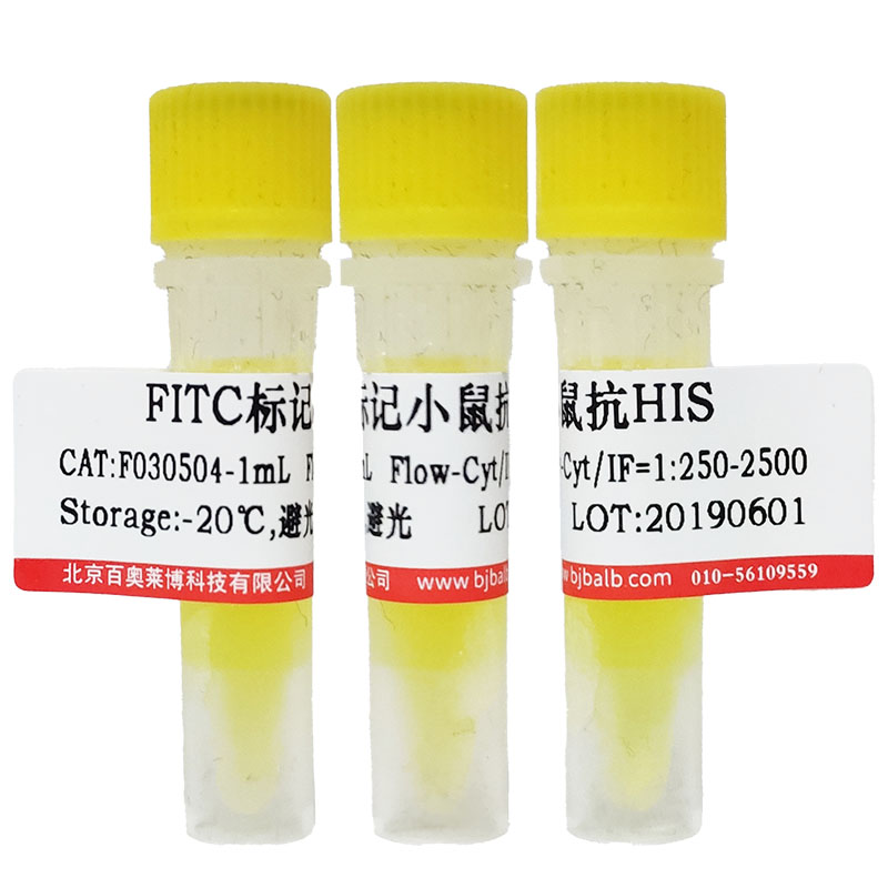 FITC标记小鼠抗HIS标签抗体图片